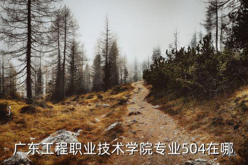 廣東工程職業(yè)技術(shù)學(xué)院專業(yè)504在哪