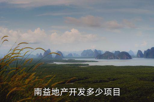 南益地產(chǎn)開(kāi)發(fā)多少項(xiàng)目
