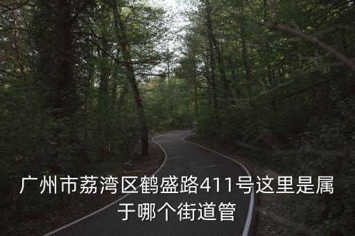 廣州市荔灣區鶴盛路411號這里是屬于哪個街道管
