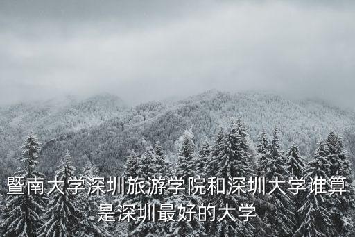 暨南大學深圳旅游學院，暨南大學深圳旅游學院和深圳大學誰算是深圳最好的大學