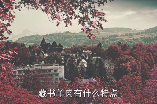 藏書羊肉有什么特點