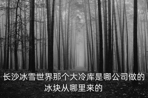 長沙冰雪世界那個大冷庫是哪公司做的冰塊從哪里來的