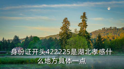 身份證開頭422225是湖北孝感什么地方具體一點