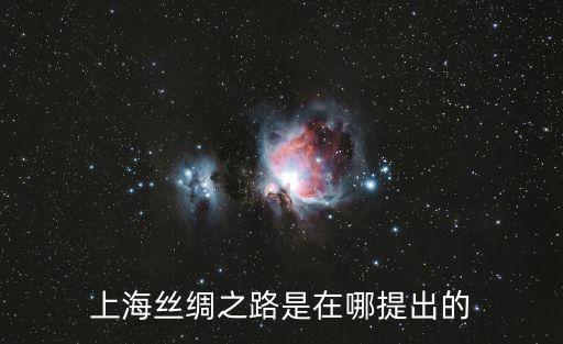上海絲綢之路是在哪提出的
