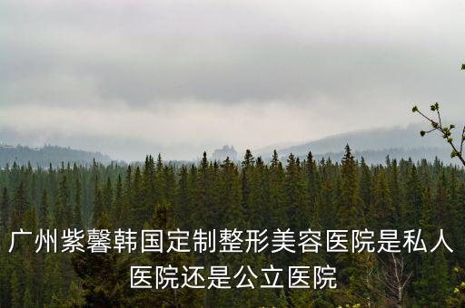廣州紫馨，廣州紫馨韓國定制整形美容醫院是私人醫院還是公立醫院