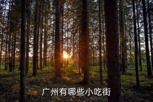 廣州有哪些小吃街