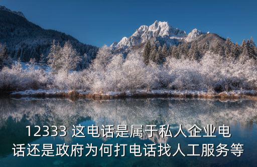 12333 這電話是屬于私人企業電話還是政府為何打電話找人工服務等