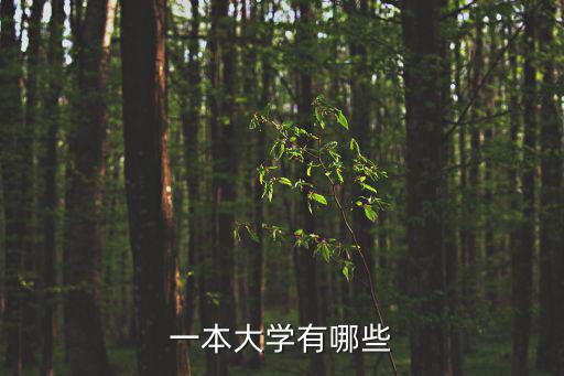一本大學有哪些