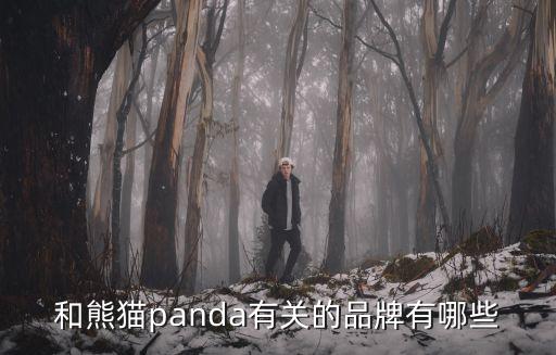 和熊貓panda有關的品牌有哪些