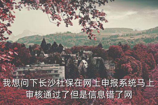 我想問下長沙社保在網上申報系統馬上審核通過了但是信息錯了網