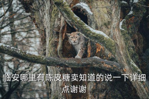 臨安哪里有陳皮糖賣知道的說一下詳細(xì)點(diǎn)謝謝