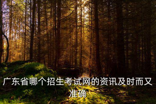 廣東省哪個招生考試網(wǎng)的資訊及時而又準(zhǔn)確