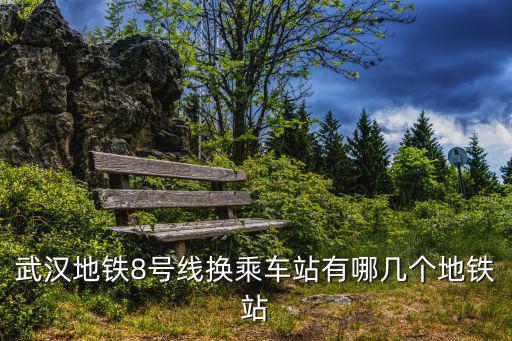 武漢地鐵8號線換乘車站有哪幾個地鐵站