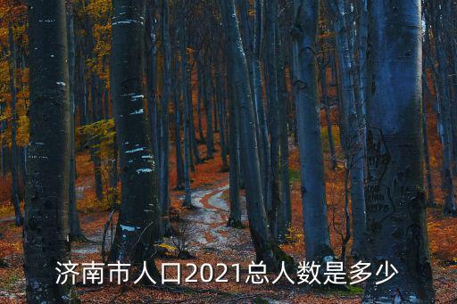 濟(jì)南人口數(shù)量，濟(jì)南人口大約多少