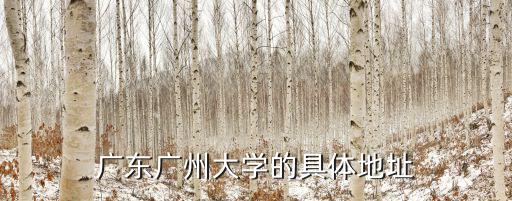廣東廣州大學的具體地址