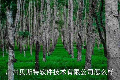 廣州貝斯特軟件技術有限公司怎么樣