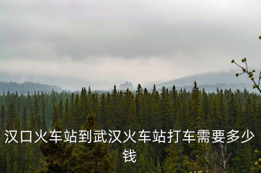 漢口站到武漢站多遠(yuǎn)，從漢口站到武漢站坐出租車需要多少時間和錢