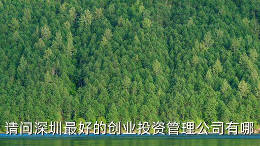 請問深圳最好的創業投資管理公司有哪