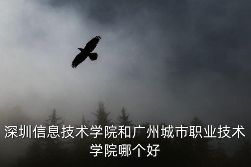 深圳信息技術(shù)學(xué)院和廣州城市職業(yè)技術(shù)學(xué)院哪個(gè)好