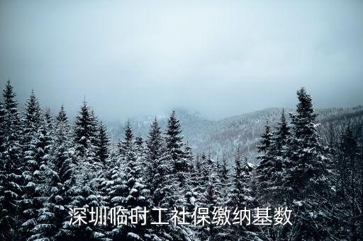 深圳臨時(shí)工社保繳納基數(shù)
