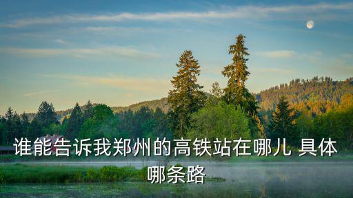 誰(shuí)能告訴我鄭州的高鐵站在哪兒 具體哪條路