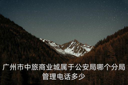 廣州市中旅商業城屬于公安局哪個分局管理電話多少