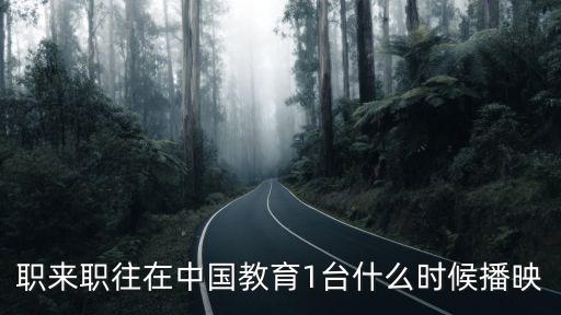 職來職往在中國教育1臺什么時候播映