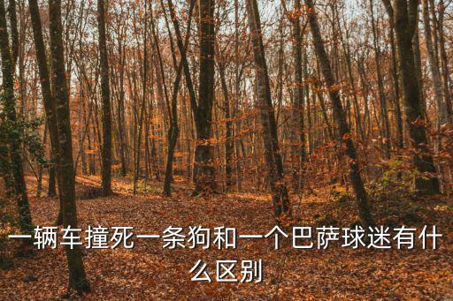 一輛車撞死一條狗和一個(gè)巴薩球迷有什么區(qū)別