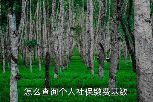 個人社保繳費基數，社保基數