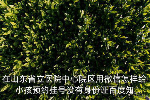 在山東省立醫(yī)院中心院區(qū)用微信怎樣給小孩預(yù)約掛號沒有身份證百度知