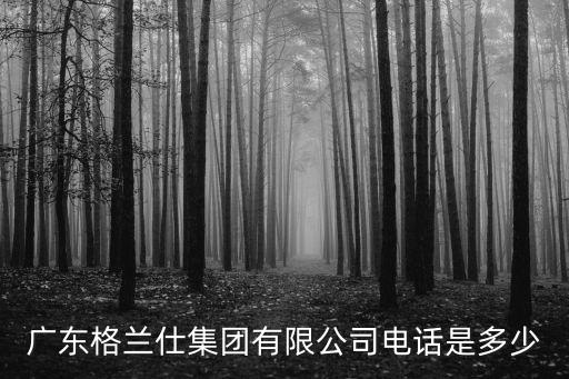 廣東格蘭仕集團(tuán)有限公司電話是多少
