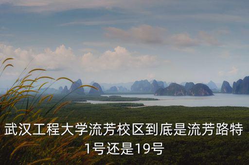 武漢工程大學(xué)流芳校區(qū)到底是流芳路特1號(hào)還是19號(hào)