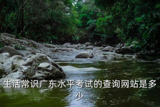 廣東水平測試成績查詢，生活常識廣東水平考試的查詢網站是多少