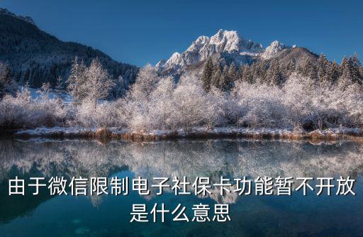 由于微信限制電子社?？üδ軙翰婚_放是什么意思