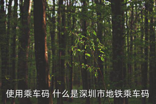 使用乘車碼 什么是深圳市地鐵乘車碼