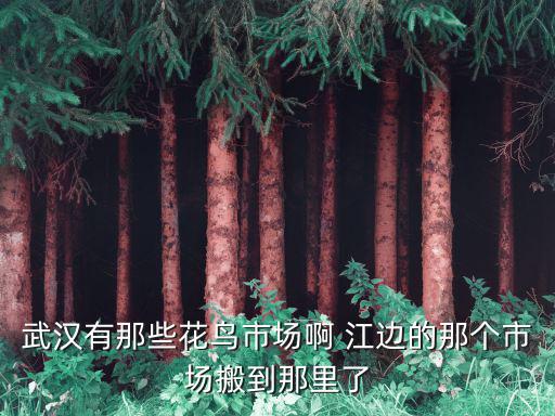 武漢有那些花鳥市場啊 江邊的那個市場搬到那里了