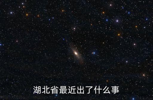 湖北省最近出了什么事