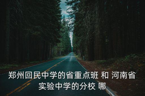 鄭州回民中學的省重點班 和 河南省實驗中學的分校 哪