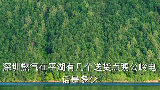 深圳燃氣電話，深圳市深燃石油氣有限公司龍華供應站075528188886是黑氣
