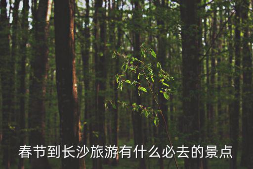 春節(jié)到長沙旅游有什么必去的景點