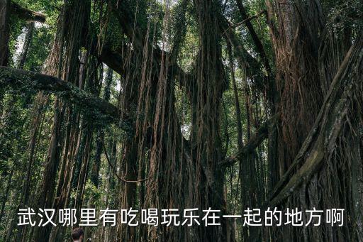 武漢哪里有吃喝玩樂在一起的地方啊