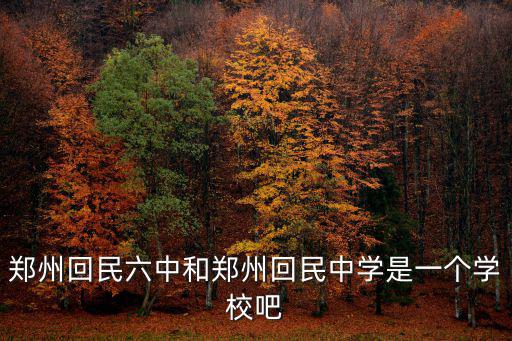 鄭州回民六中和鄭州回民中學是一個學校吧