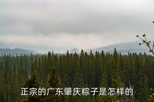 廣東粽子，正宗的廣東肇慶粽子是怎樣的