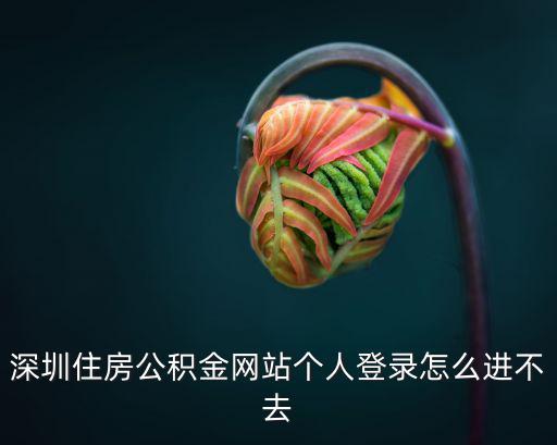 深圳住房公積金網(wǎng)站個(gè)人登錄怎么進(jìn)不去