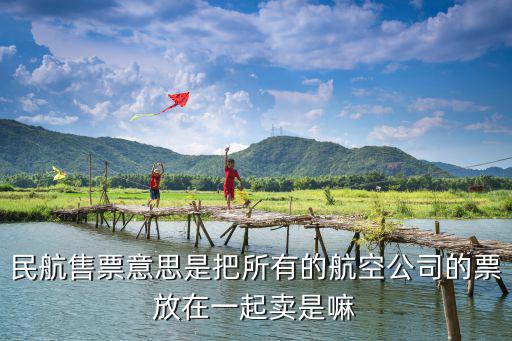 民航售票意思是把所有的航空公司的票放在一起賣是嘛