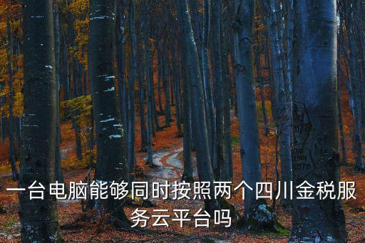一臺電腦能夠同時按照兩個四川金稅服務云平臺嗎