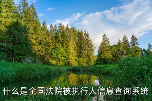 被執(zhí)行人查詢系統(tǒng)，可以在全國法院系統(tǒng)查詢被執(zhí)行人的財產(chǎn)嗎