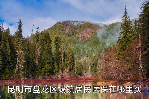 昆明市盤龍區(qū)城鎮(zhèn)居民醫(yī)保在哪里買
