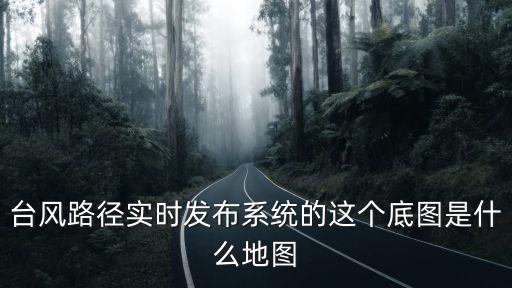臺風路徑實時發布系統的這個底圖是什么地圖