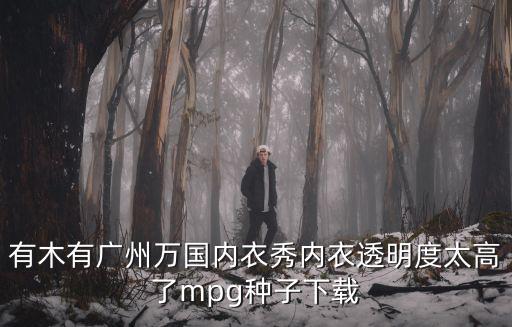 有木有廣州萬國內衣秀內衣透明度太高了mpg種子下載